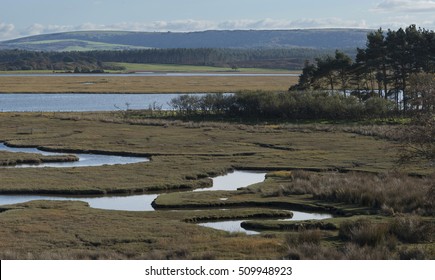 Arne Nature Reserve