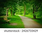 Arnold Arboretum of Harvard University in Boston. Winding gravel path amidst lush greenery and mature trees. Solitary wooden bench. Enchanted forest. Philosopher