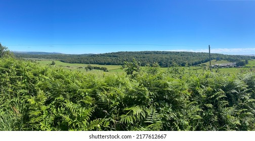 Arnside Knott View From Above