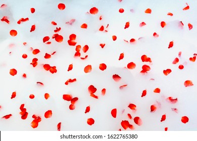 Aromatherapy with flower petals. Bath water with rose petals. Valentine's Day.top view,Red rose petals scattered on the white bath bubble,Jacuzzi tub. - Powered by Shutterstock