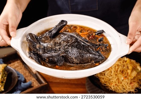 Aromatic broth-based soup featuring tender braised turtle meat in rich brown sauce, served in white bowl with fresh ingredients visible, authentic Asian cuisine.