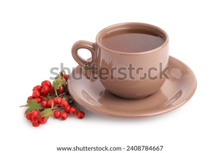Aromatic hawthorn tea in cup and berries isolated on white