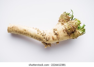 aromatic horseradish root on a white background.