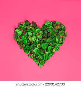 Aromatic mix of potpourri of dried flowers in the shape of a heart. A bunch of green dry potpourri flowers on a pink background. Romantic Valentines day composition. Flat lay. SPA, self care concept.