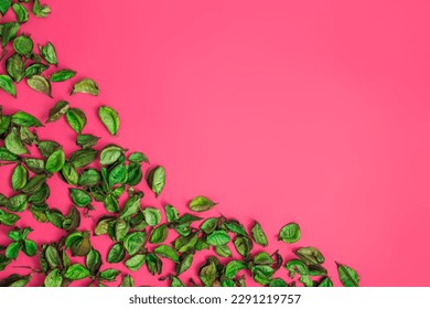 Aromatic mix of potpourri of dried flowers. A bunch of green dry potpourri flowers on a pink background. Romantic Valentines day composition. Flat lay. SPA, self care concept.