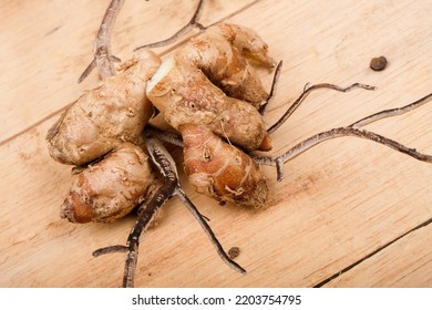 Aromatic Sand Ginger Root Kaempferia Galanga Or Fingerroot.