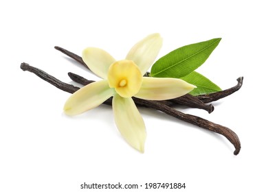 Aromatic vanilla sticks, beautiful flower and green leaves on white background