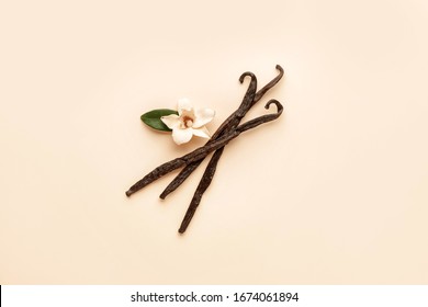 Aromatic Vanilla Sticks On Color Background