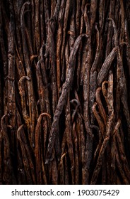Aromatic vanilla sticks on a dark background