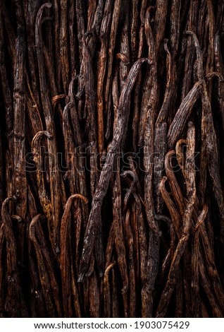 Aromatic vanilla sticks on a dark background
