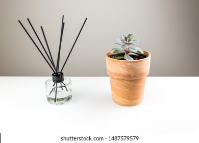 Air Freshener Reeds Stock Photos Images Photography Shutterstock