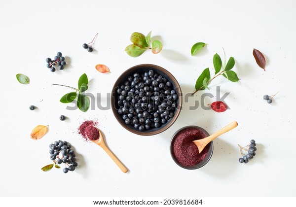 Aronia berries\
and powder on white\
background.