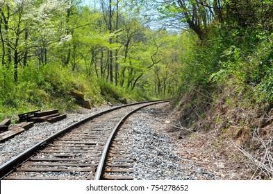 Around The Bend, Scenic Railroad, Blue Ridge, GA