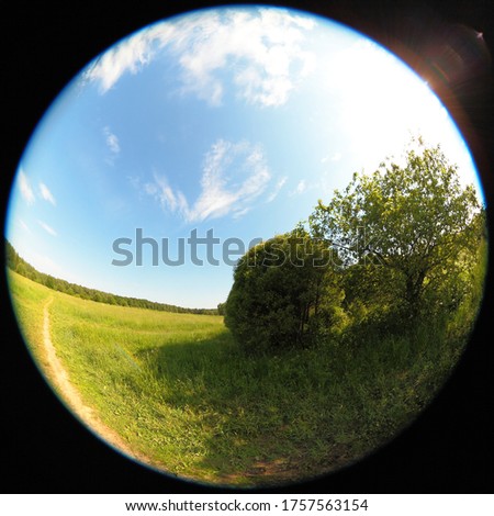 Similar – Image, Stock Photo Harmonious landscape panorama with an expansive meadow of golden yellow wild grasses and a green mixed forest in the background (Germany, midsummer)