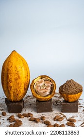 A Arrange Made Of Chocolate, Cocoa Pod, Chocolate And  Cocoa Seeds. White Background.