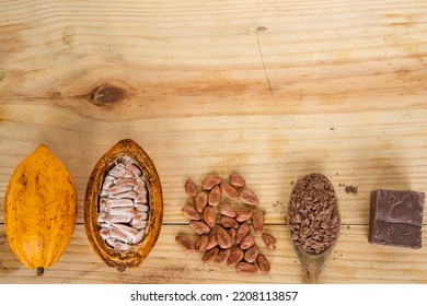 A Arrange That Show The Fases Of The Chocolate.
Cocoa Pod, Cocoa Beans, Cocoa Powder And Chocolate.