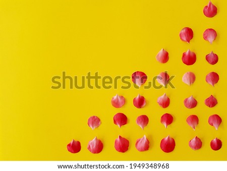 Similar – Frische Himbeeren auf gelbem und rotem Hintergrund