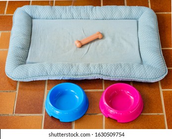 Arrangement Of Dog Supplies – An  Empty Bed, Food And Water Bowls, And A Bone Chew Toy . To Illustrate A Missing Pet Dog / Getting A New Dog