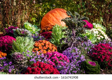 Arrangement Of Mums At The Frederik Meijer Gardens