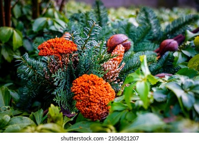 Arrangements Designed In Autumn Colors On A Grave Site.