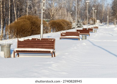 Array of the benches in a park covered with snow