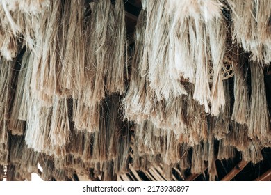 Array of hanging Abaca plant fibers, a natural leaf fiber, also called Manila hemp or Musa textilis from Banana tree leafstalk native to Philipines. Animal free item. Selected focus. Copy space. 