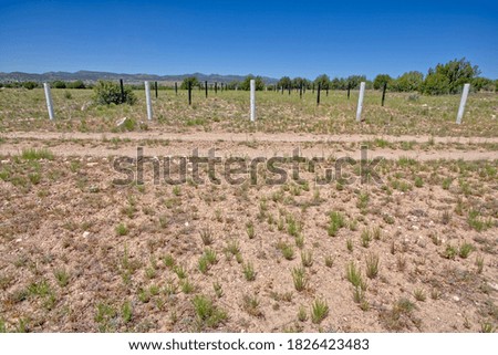 Image, Stock Photo Hiking trails through eroded rock formations