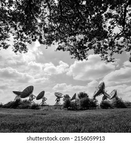 An Array Of Radio Astronomy Look Up At The Sky, Framed Under Tree Branches