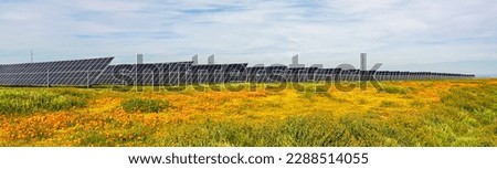 an array of solar panels amid the blooming wildflowers on a warm Spring afternoon in Antelope Valley near Lancaster, California