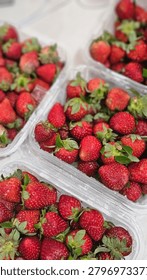 an Array of strawberries boxes ready to pack taken from above
