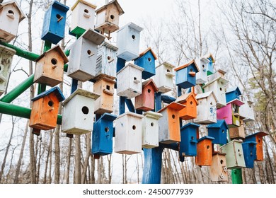 An array of vibrant bird houses adorns a tree, adding a colorful touch to the urban design of the city. The facades create a unique art installation against the sky backdrop