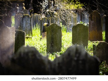 Array of weathered gravestones standing in a green cemetery, capturing themes of remembrance, history, and eternal rest