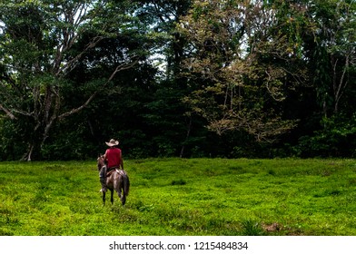 
Arriero In The Colombian Jungle