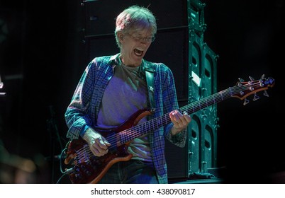 Arrington, VA/USA - 9/5/2014 : Phil Lesh Performs At LOCKN' Festival In Arrington, VA.  