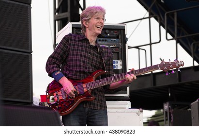 Arrington, VA/USA - 9/6/2014 : Phil Lesh Performs At LOCKN' Festival In Arrington, VA.  