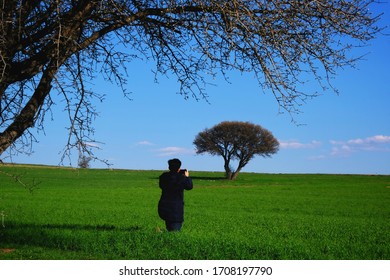 The Arrival of Spring and Greenery