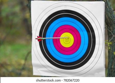 Arrow Center Target Archery Outdoors Stock Photo 782067220 | Shutterstock