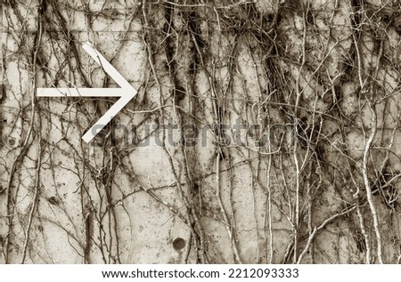 Similar – Image, Stock Photo arrow direction ivy Arrow