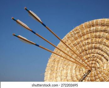 Arrow in the straw target