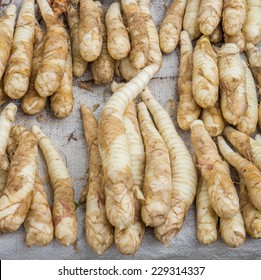 Arrowroot In Thai Fresh Market