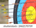 Arrows are piercing an archery target at various points, showing different levels of accuracy. The target has concentric colored circles of blue, black, red, and yellow