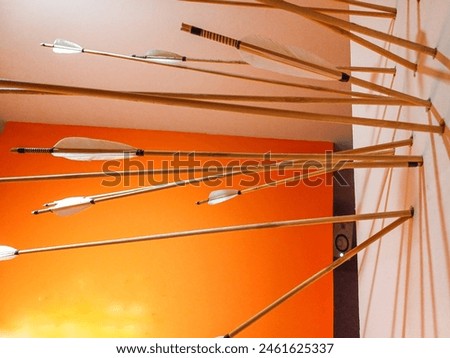 arrows stuck in the wall