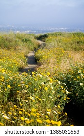 Arroyo Verde Park in Ventura, California 