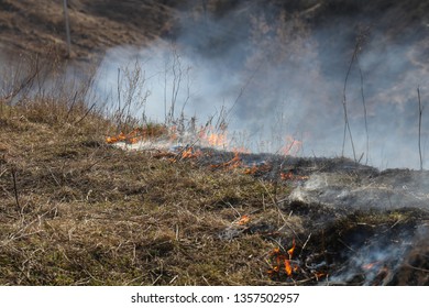 arson of dry grass
