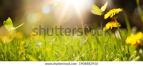 art abstract spring background or summer\
background with fresh\
grass\
