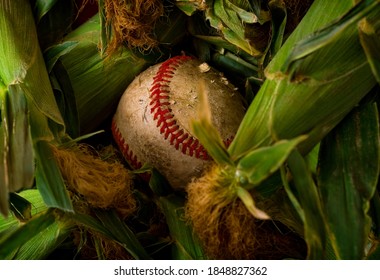 Art Of Baseball In Ears Of Corn A La Field Of Dreams