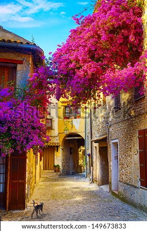 art beautiful old town of Provence