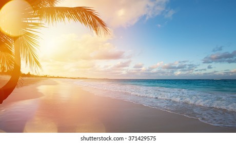 Art Beautiful sunrise over the tropical beach - Shutterstock ID 371429575