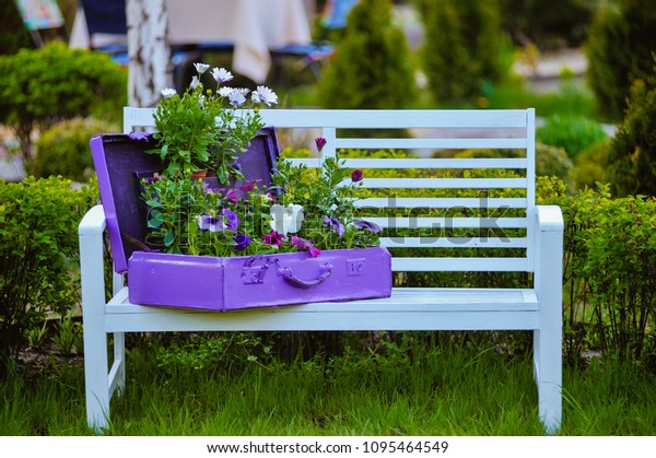 Art Bench Flowers Morning English Park Stock Photo Edit Now