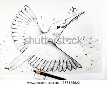 Art  Drawing  Bird fly fast ,  sketch , stroke drawing